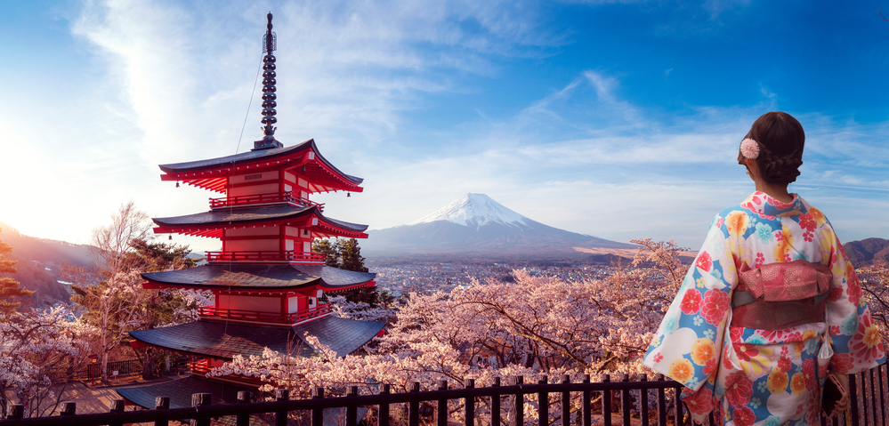 Sakura park Mt Fuji Cherry Blossom